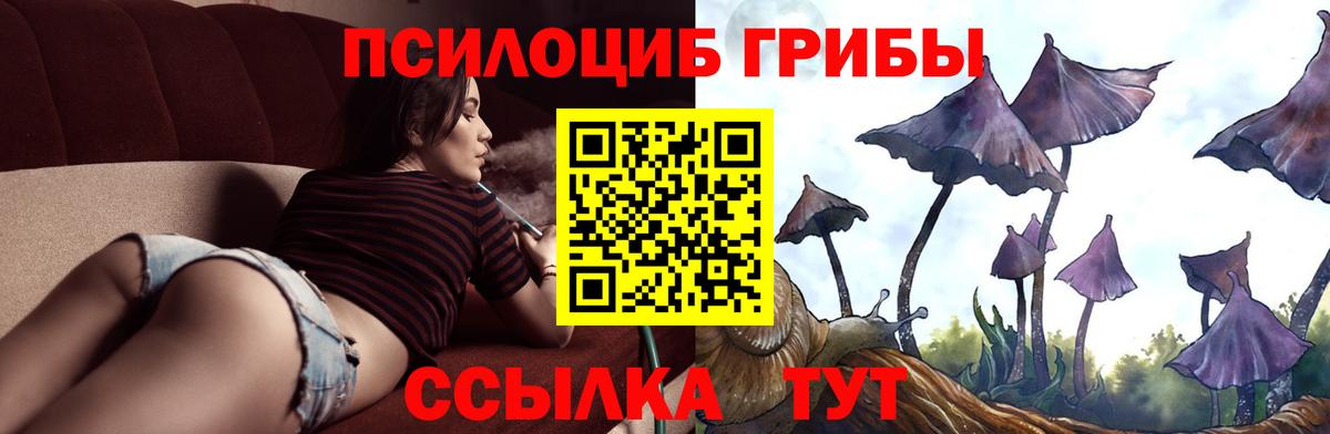 Артём  Псилоцибиновые грибы GOLDEN TEACHER  Вход с VPN 